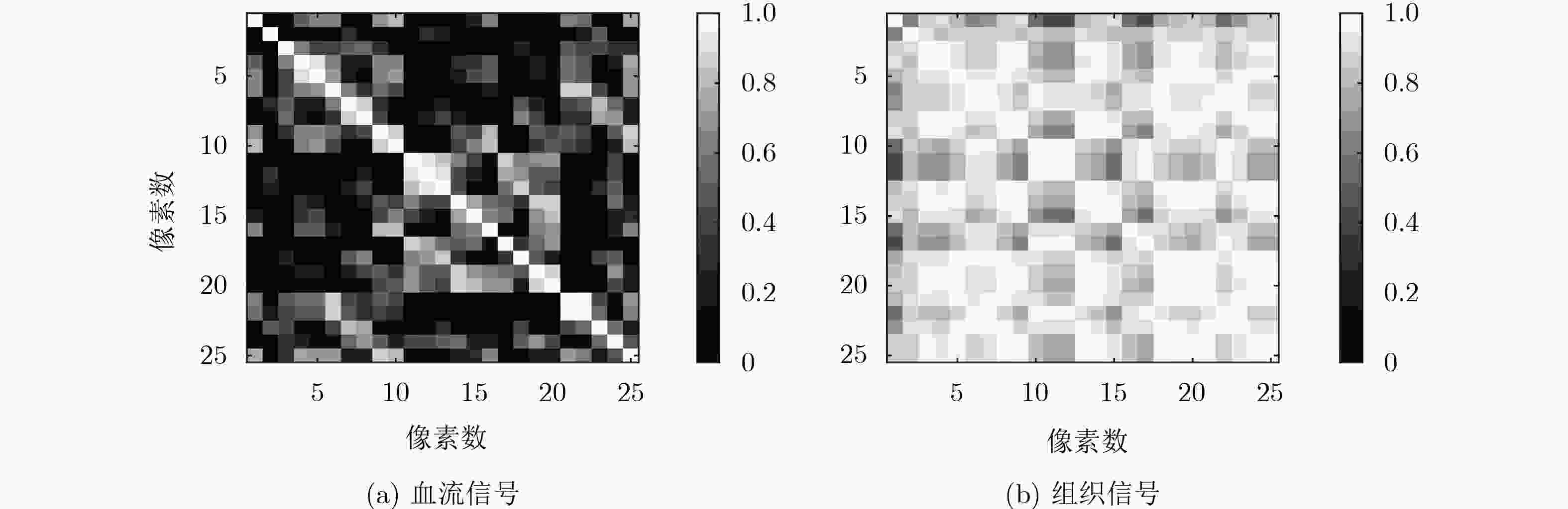 一种基于Casorati-奇异值分解的超快平面波超声多普勒自适应时空域杂波抑制算法